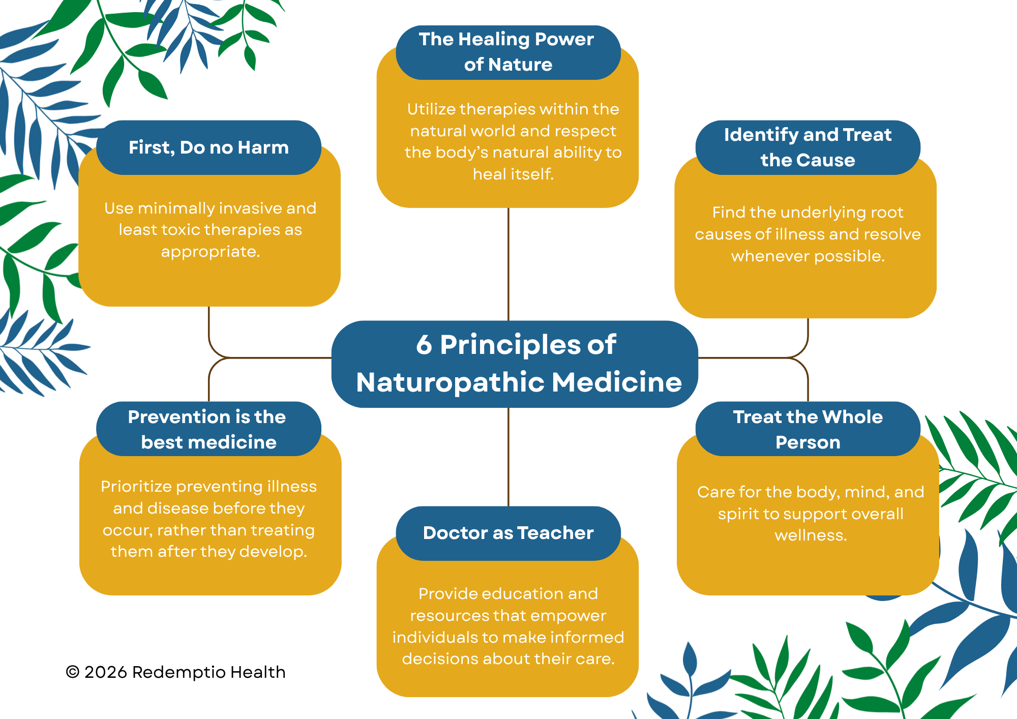 Principle of Naturopathic Medicine-copyright Redemptio Health